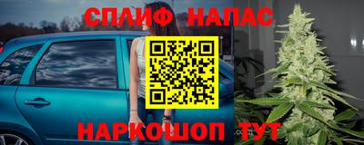 jwh Краснознаменск